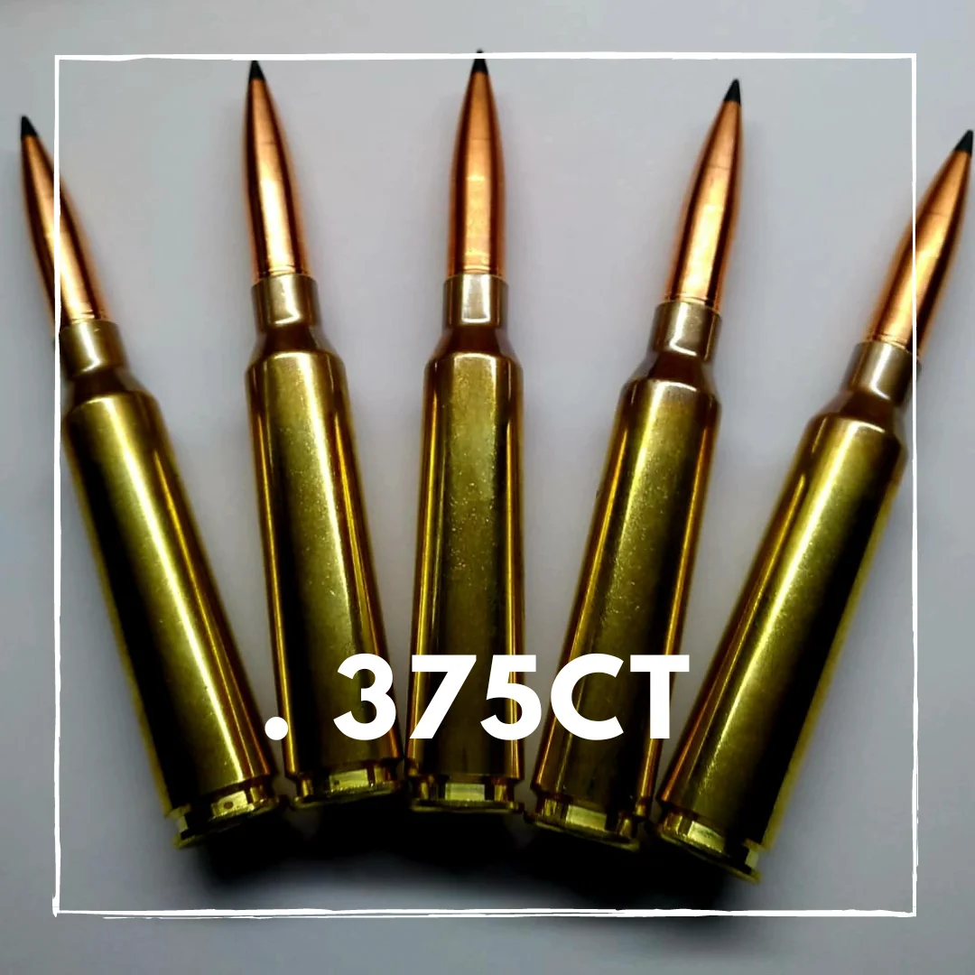 Kopi af 375 Ruger