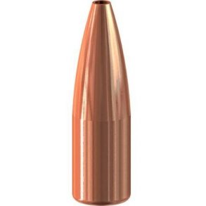 Speer - TNT HP - .204 - 39grain - 100 stk.