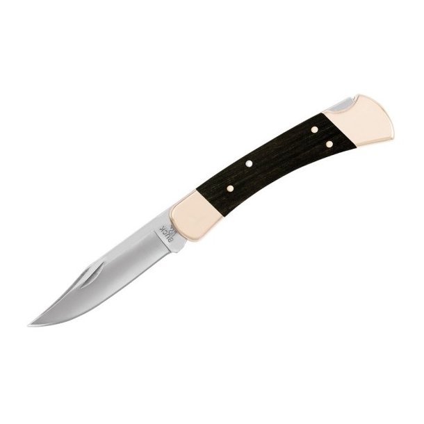 BUCK Folding Hunter