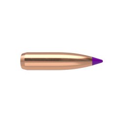 NOSLER 6MM(.243) 90gr Spitzr BULLET BallisticTip / 50 stk.
