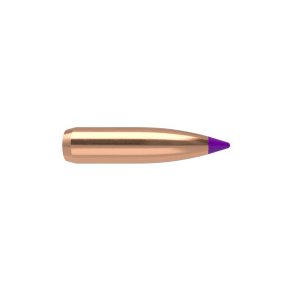 NOSLER 6MM(.243) 90gr Spitzr BULLET BallisticTip / 50 stk.