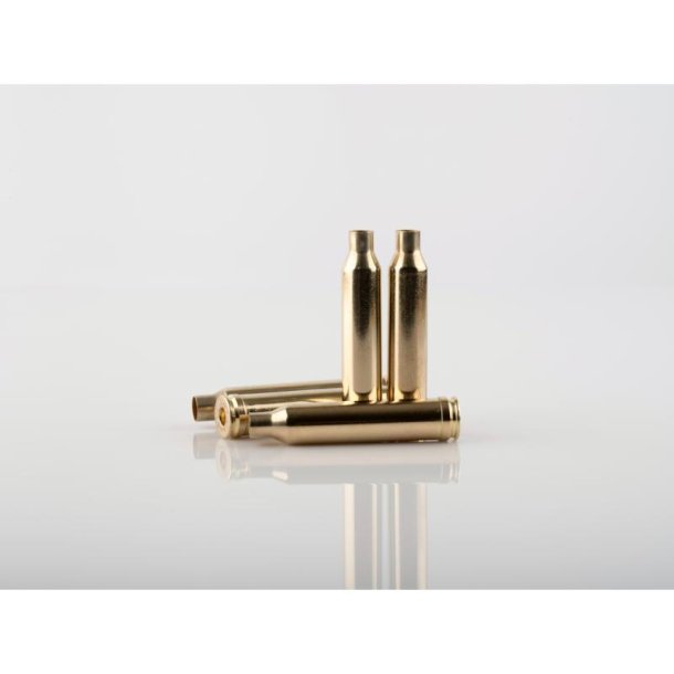 PPU hylstre .300 Win Mag / 50 stk.